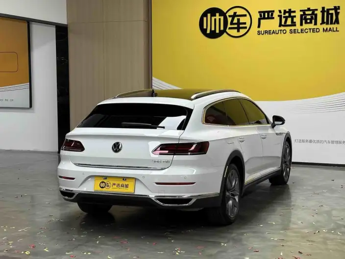 Volkswagen CC 2021 Model Hunting vehicle 380TSI Hunting Heart Edition – фото 7