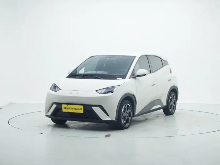 BYD Seagull 2025 Model 305KM Free Edition