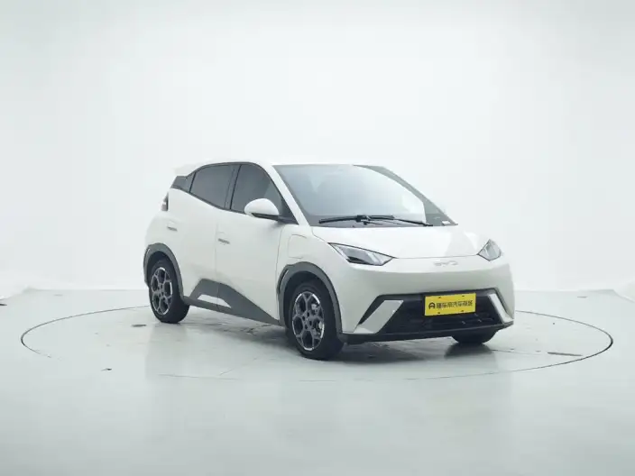 BYD Seagull 2025 Model 305KM Free Edition