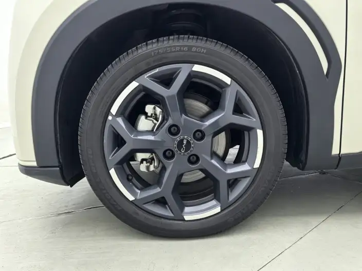 BYD Seagull 2025 Model 305KM Free Edition – фото 9