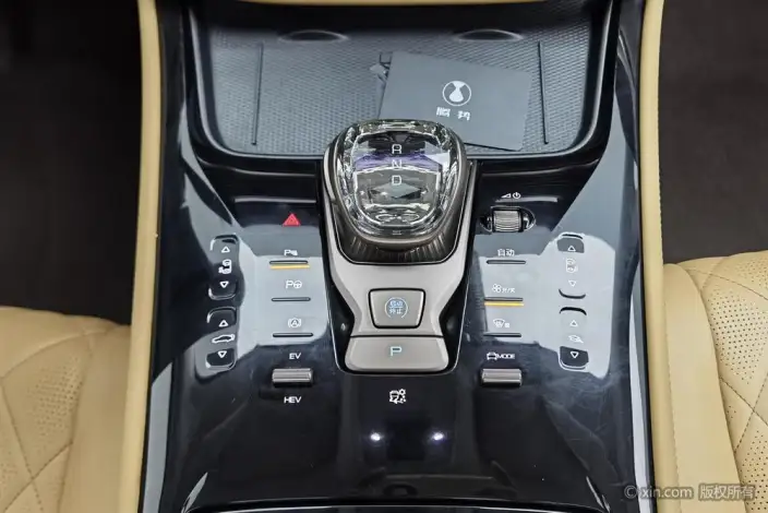 DENZA D9 DM 2022 Model 970 4WD Flagship Model – фото 9