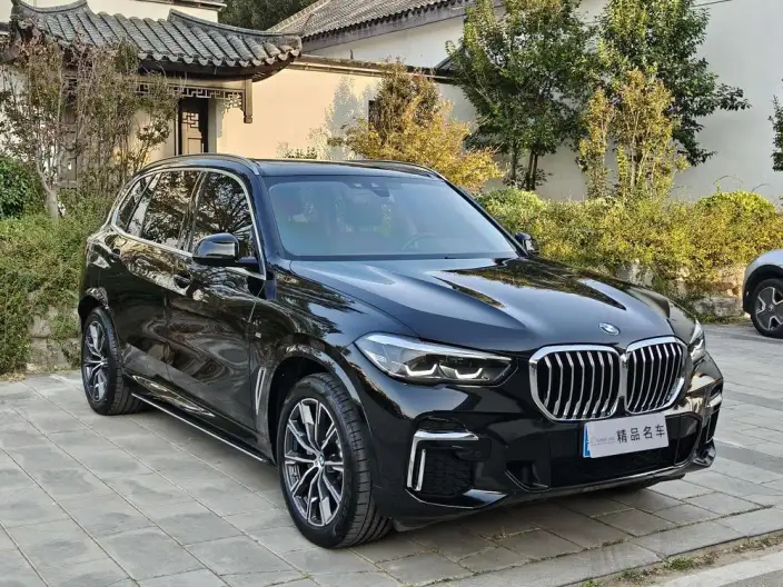 BMW X5 2022 Model Facelift xDrive 30Li M Sports Set – фото 3