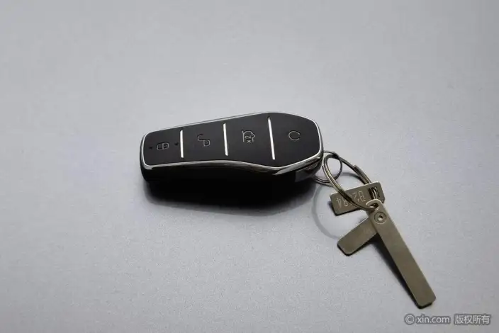 BYD Song PLUS EV 2023 Model Champion Edition 520KM Noble Model – фото 6