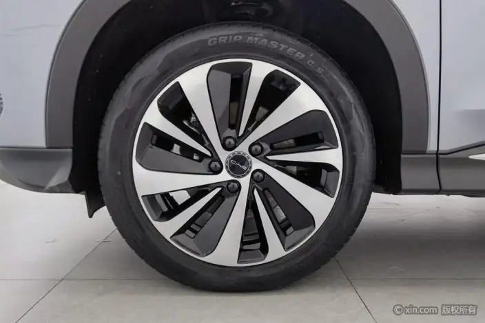 BYD Song PLUS EV 2023 Model Champion Edition 520KM Noble Model – фото 10