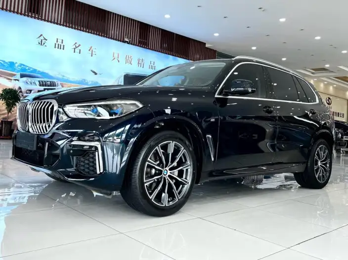 BMW X5 2022 Model Facelift xDrive 30Li Exclusive Model M Sports Set – фото 1