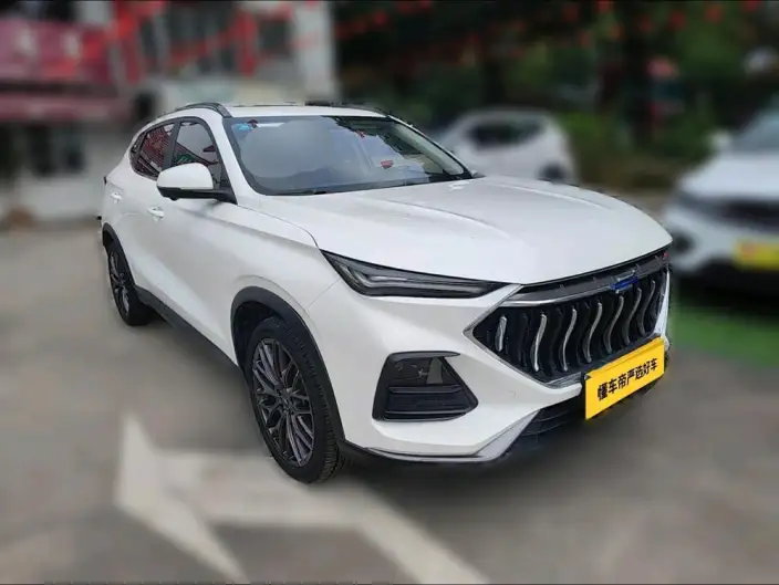 Changan Oshan X5 2021 Model 1.5T DCT Flagship Model – фото 2