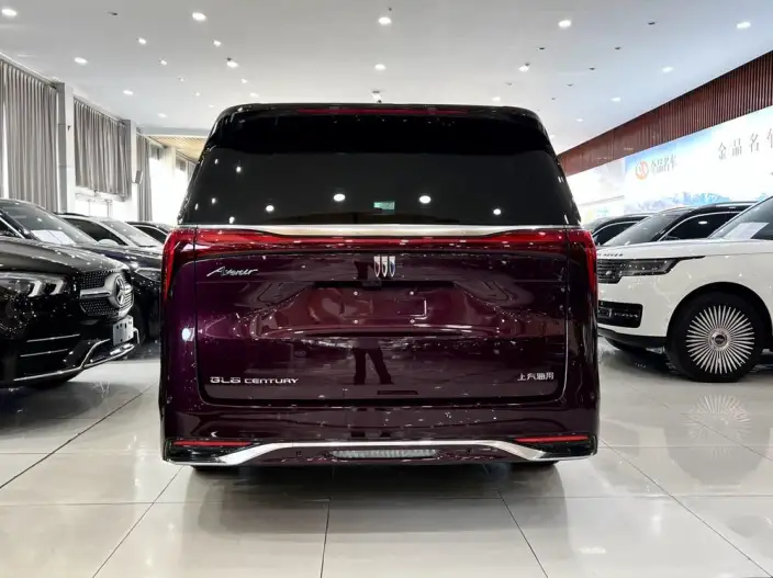 Century 2023 Model 2.0T VI seat Yunshi Edition