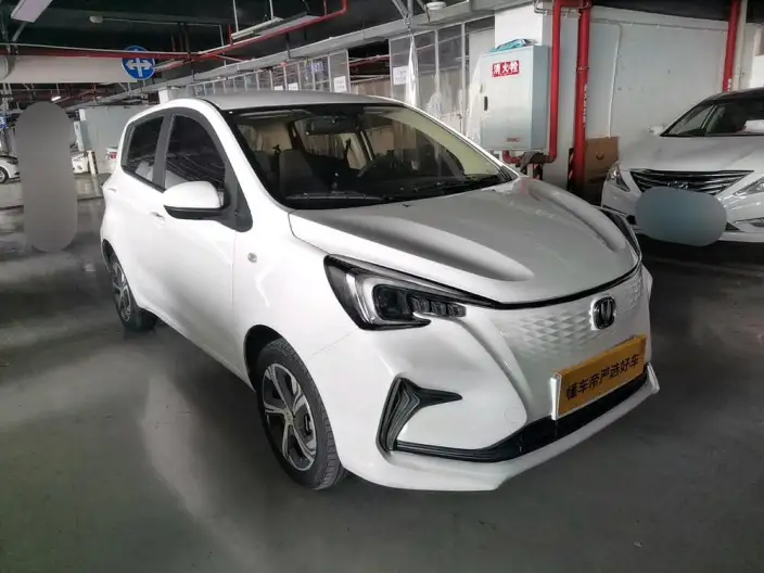 Changan Benben E-Star 2020 Model Heart Edition Lithium Iron Phosphate (31.18kWh) – фото 2