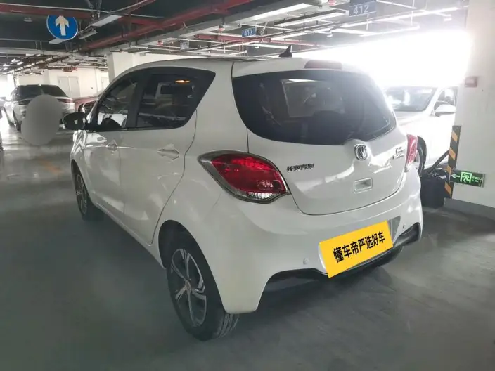 Changan Benben E-Star 2020 Model Heart Edition Lithium Iron Phosphate (31.18kWh) – фото 3