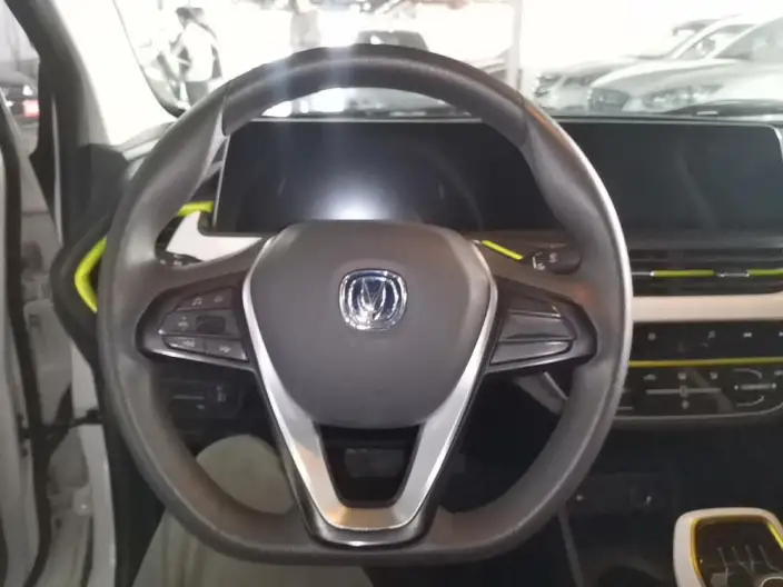 Changan Benben E-Star 2020 Model Heart Edition Lithium Iron Phosphate (31.18kWh) – фото 8