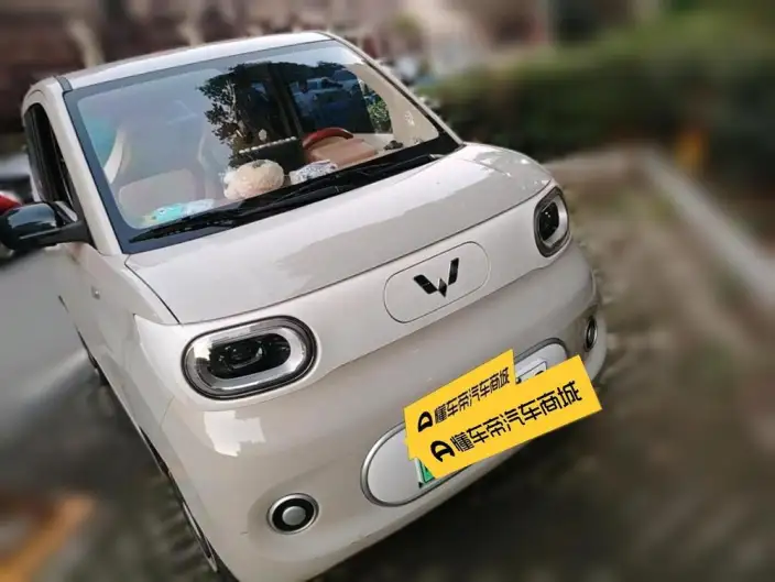 Wuling Hongguang MINIEV 2024 Model 215km Youth Edition Lithium Iron Phosphate