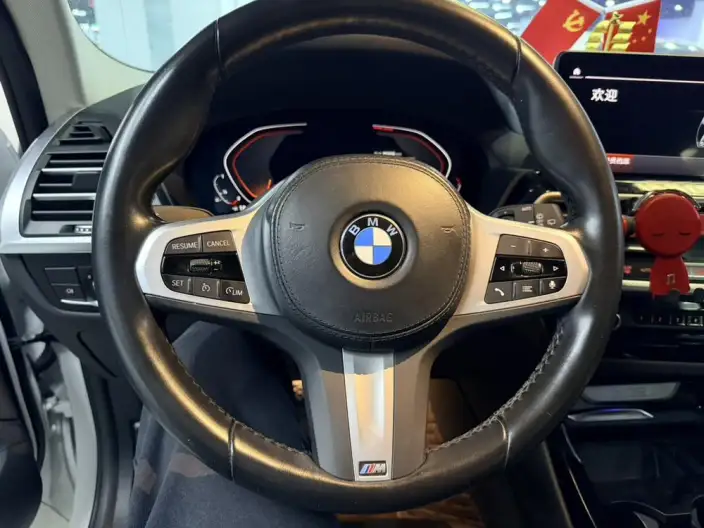 BMW X3 2022 Model xDrive25i M Sports Set – фото 10