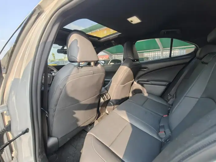 Lexus UX 2020 Model 200 Special Edition – фото 10