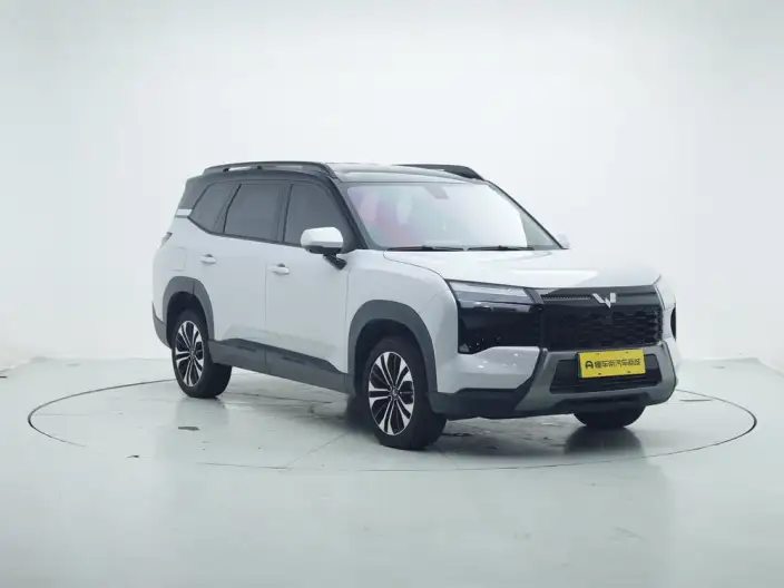 Xingguang 560 PHEV 2026 Model 125km Luxury Model