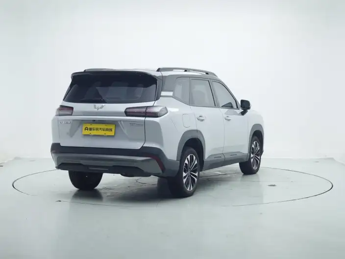 Xingguang 560 PHEV 2026 Model 125km Luxury Model – фото 7