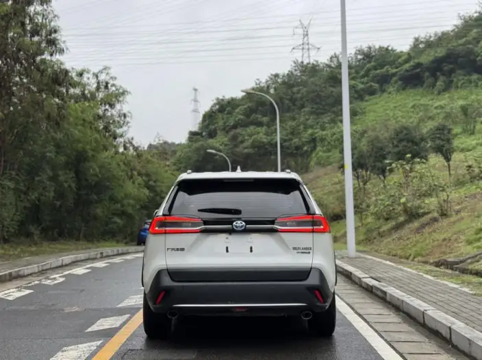 Toyota Wildlander 2023 Model Hybrid 2.5L 2WD Luxury PLUS Edition – фото 6