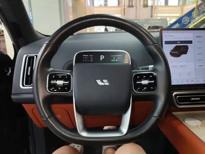 Li Auto L8 2023 Model Pro Edition – фото 8