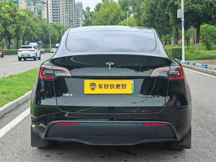 Model Y 2022 Model Rear-wheel drive version – фото 5