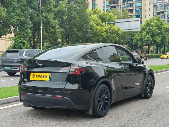 Model Y 2022 Model Rear-wheel drive version – фото 6