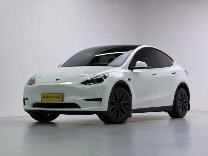 Model Y 2024 Model Rear-wheel drive version – фото 1
