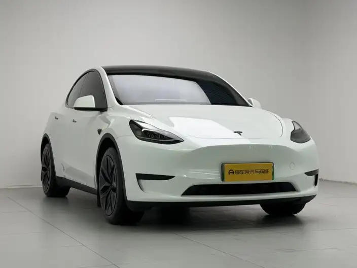 Model Y 2024 Model Rear-wheel drive version – фото 3