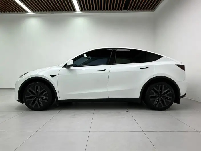 Model Y 2024 Model Rear-wheel drive version – фото 4