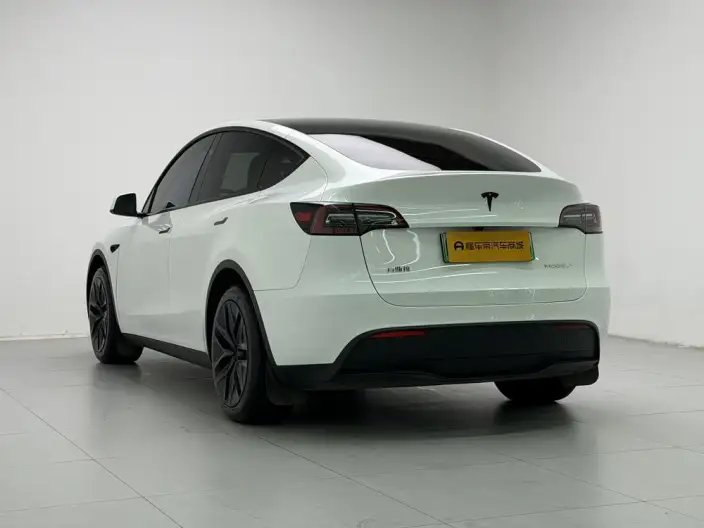 Model Y 2024 Model Rear-wheel drive version – фото 5