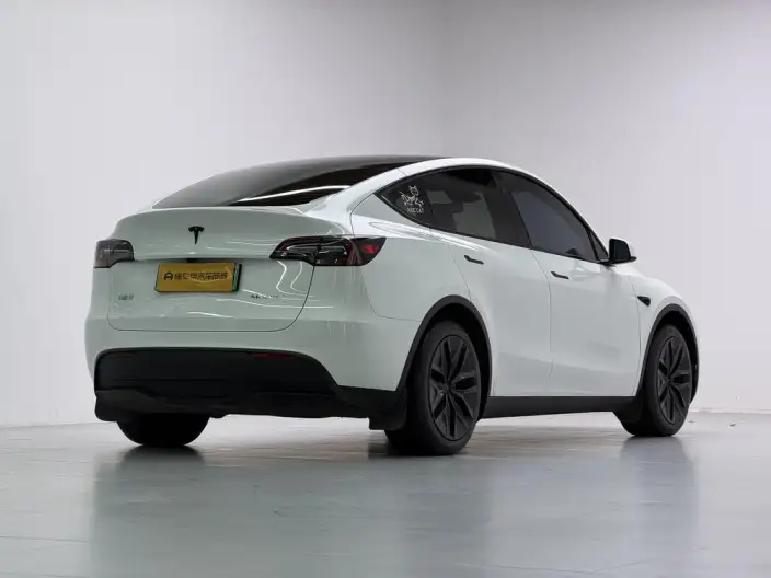 Model Y 2024 Model Rear-wheel drive version – фото 7