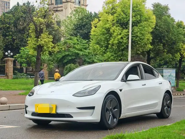Model 3 2022 Model Rear-wheel drive version – фото 1