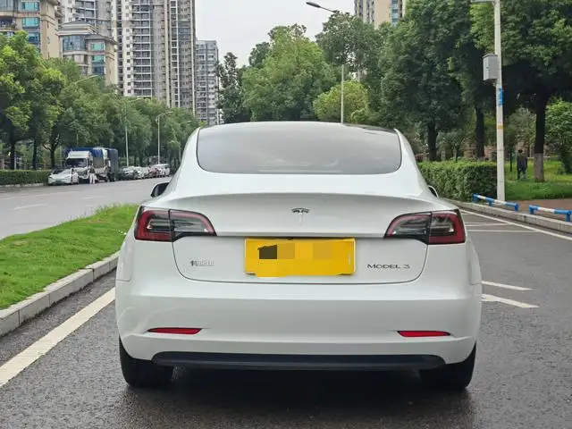 Model 3 2022 Model Rear-wheel drive version – фото 5