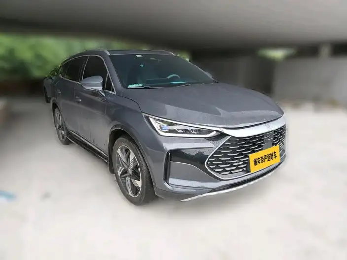 BYD Tang DM 2024 Model Honor Edition DM-i 112KM Noble Model – фото 2