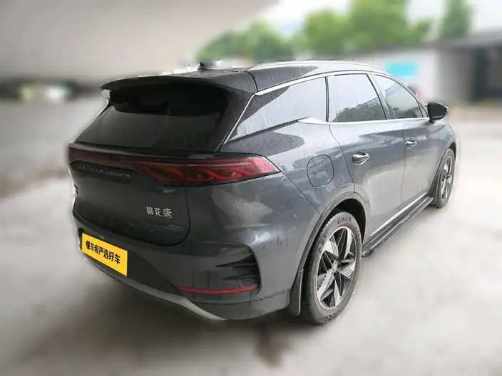 BYD Tang DM 2024 Model Honor Edition DM-i 112KM Noble Model – фото 4