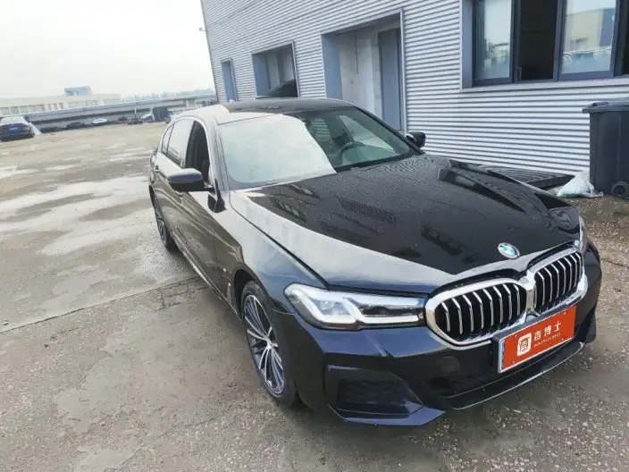 BMW 5 Series 2022 Model Facelift 530Li Leading Model M Sports Set – фото 2