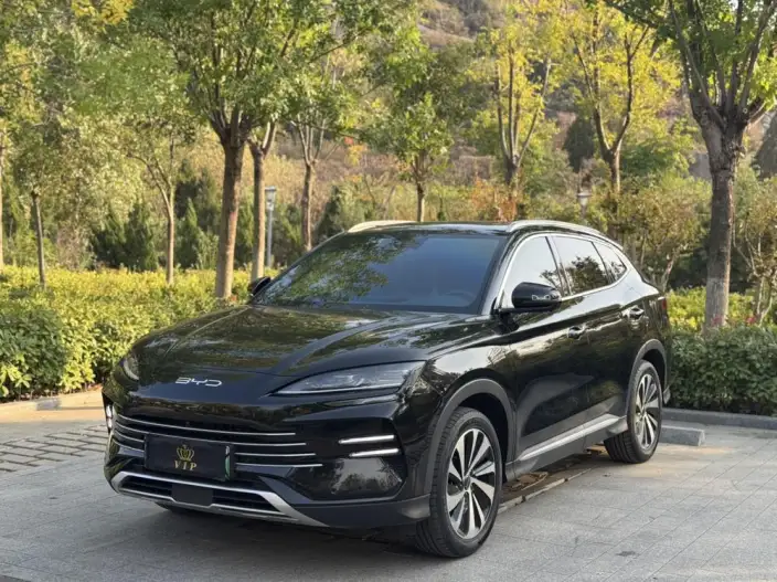 BYD Song PLUS DM 2023 Model DM-i Champion Edition 110KM Flagship Model – фото 1
