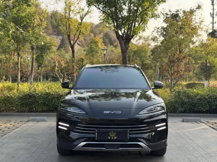 BYD Song PLUS DM 2023 Model DM-i Champion Edition 110KM Flagship Model – фото 2