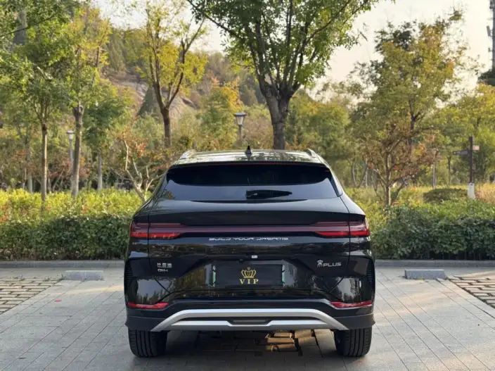 BYD Song PLUS DM 2023 Model DM-i Champion Edition 110KM Flagship Model – фото 6