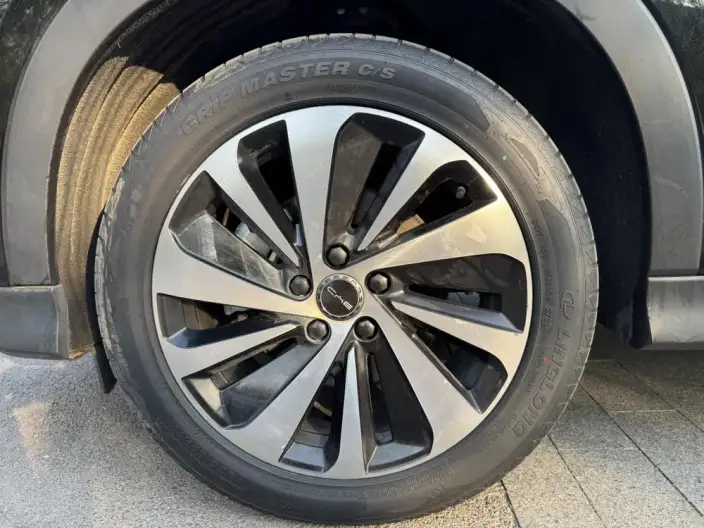 BYD Song PLUS DM 2023 Model DM-i Champion Edition 110KM Flagship Model – фото 8