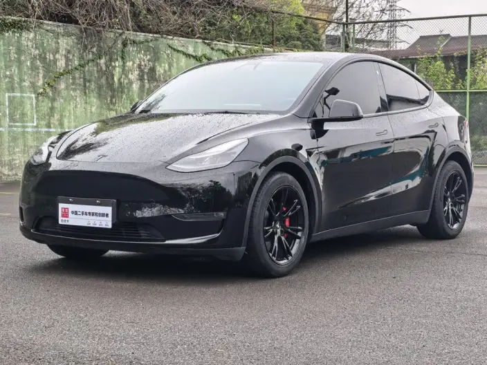 Model Y 2021 Model Standard Battery Life Rear-wheel drive version – фото 1