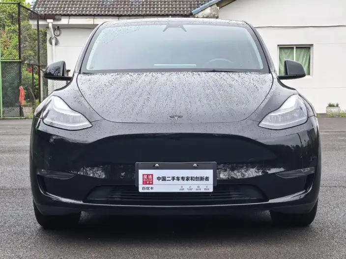 Model Y 2021 Model Standard Battery Life Rear-wheel drive version – фото 2