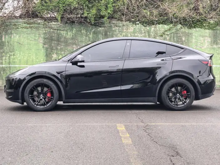 Model Y 2021 Model Standard Battery Life Rear-wheel drive version – фото 3
