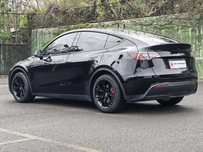 Model Y 2021 Model Standard Battery Life Rear-wheel drive version – фото 4