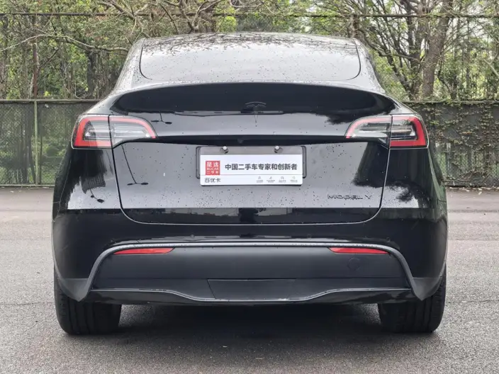 Model Y 2021 Model Standard Battery Life Rear-wheel drive version – фото 5