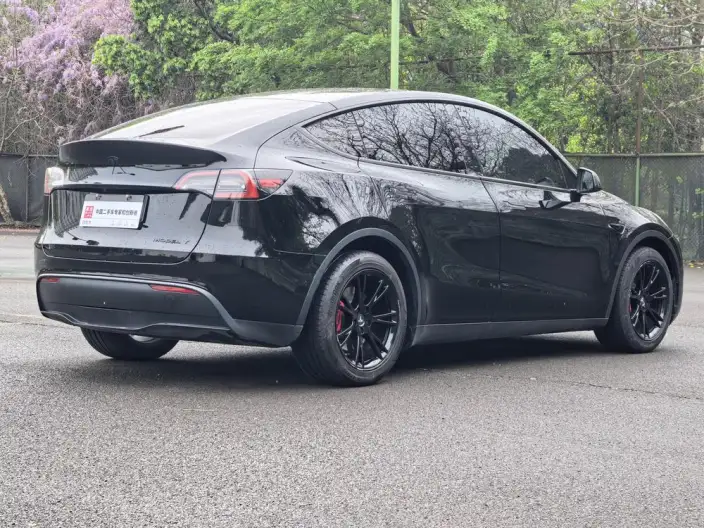 Model Y 2021 Model Standard Battery Life Rear-wheel drive version – фото 6