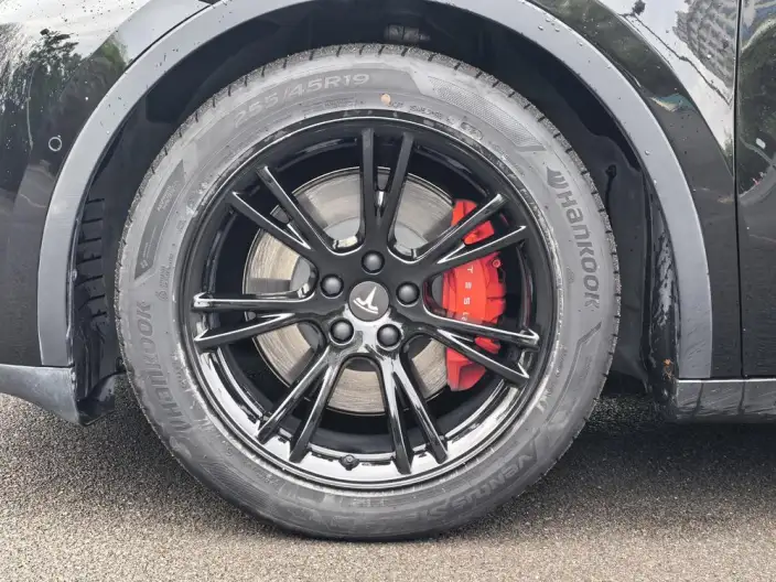 Model Y 2021 Model Standard Battery Life Rear-wheel drive version – фото 7