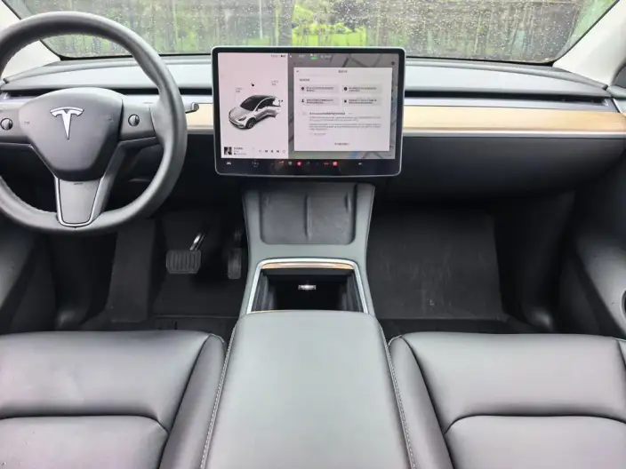 Model Y 2021 Model Standard Battery Life Rear-wheel drive version – фото 8