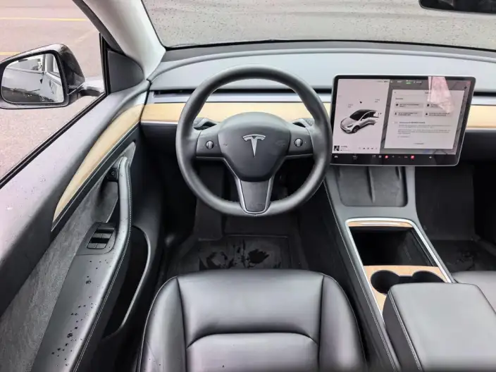 Model Y 2021 Model Standard Battery Life Rear-wheel drive version – фото 9