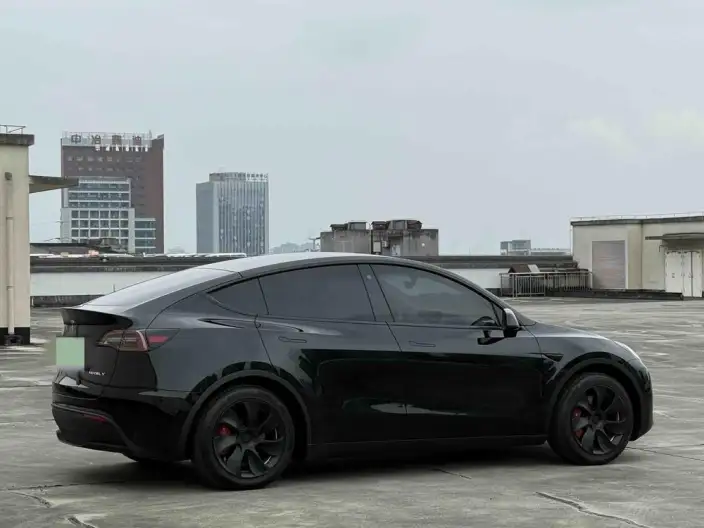Model Y 2022 Model Facelift Rear-wheel drive version – фото 5