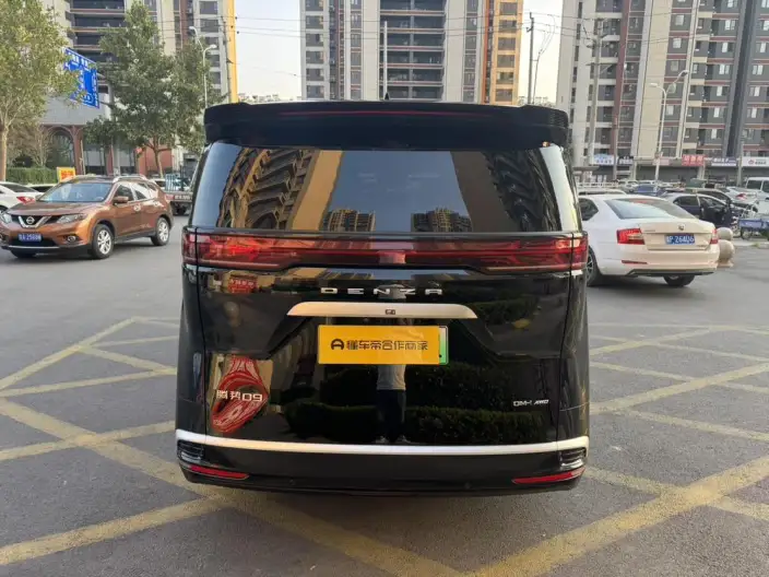 DENZA D9 DM 2022 Model 970 4WD Flagship Model – фото 6