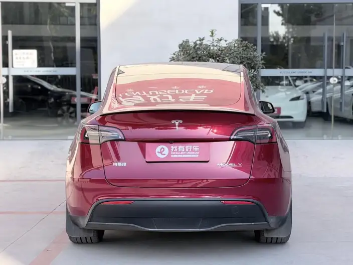 Model Y 2024 Model Performance High performance All-wheel drive version – фото 5