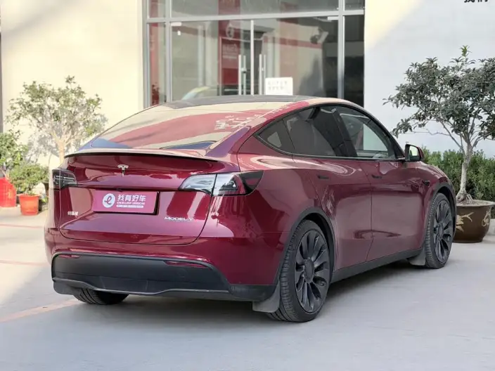 Model Y 2024 Model Performance High performance All-wheel drive version – фото 6